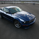 Illustration for article titled 2010 Shelby Mustang GT/SR